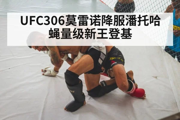 UFC306莫雷诺降服潘托哈 蝇量级新王登基